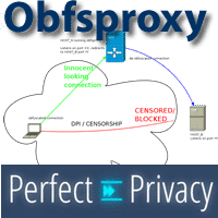 obfsproxyPerfect PrivacyVPN