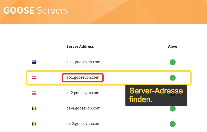GooseVPN Serveradressen