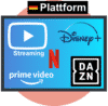 Video Plattform Streaming