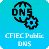 CFIEC Public DNS