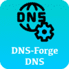 DNS Forge