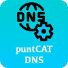 puntCAT DNS