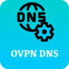 OVPN DNS Server