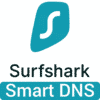 Surfshark Smart DNS Logo